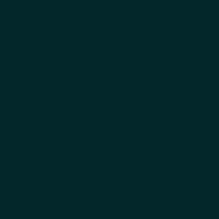 A dark green square with a small lighter green shape in the center.